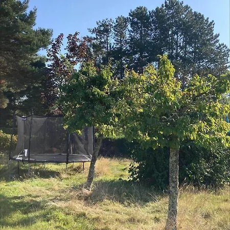 1067-stege-ulvshalevej-117